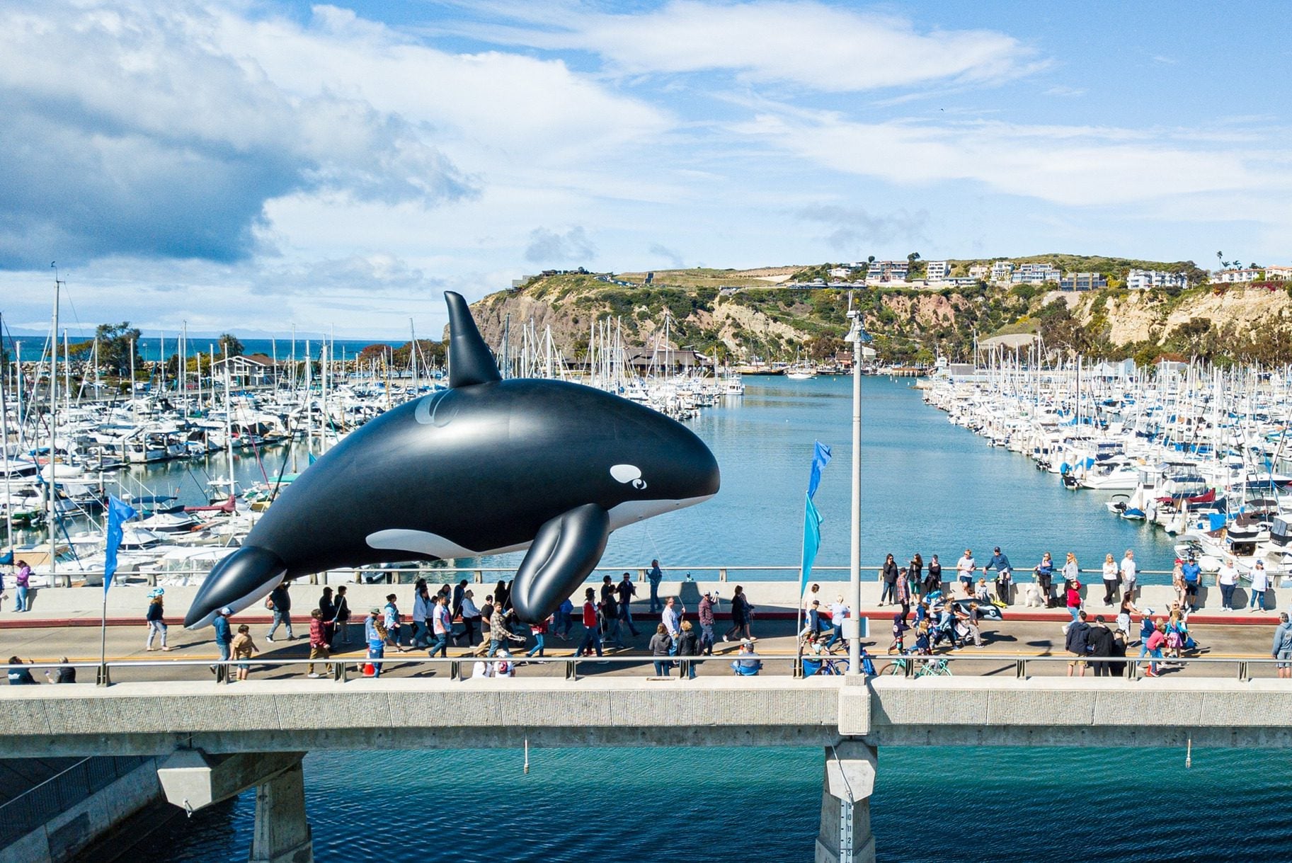 dana-point-festival-of-whales-