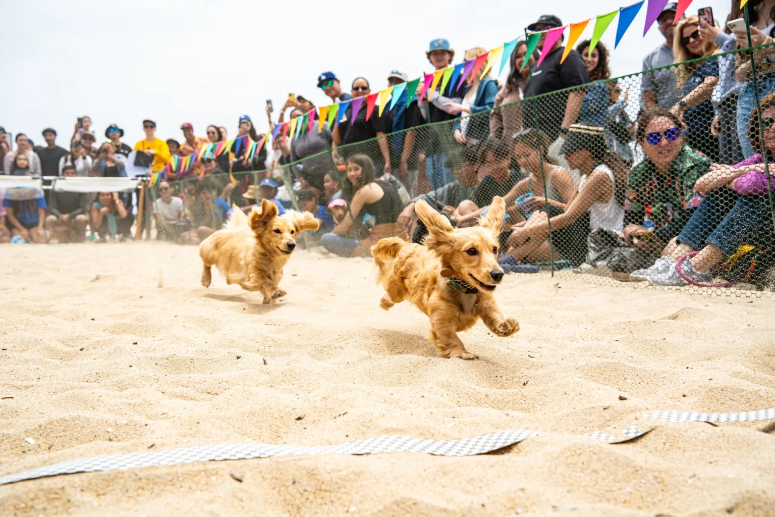 socal-wienerfest