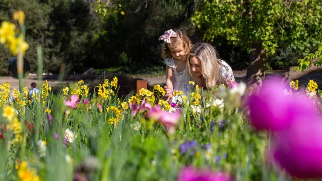 mothers-day-south-coast-botanic-garden