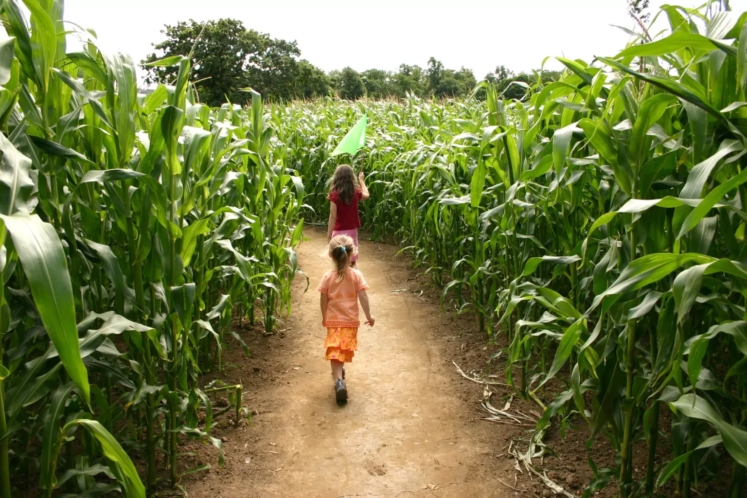 corn-mazes-southern-california-kidsguide